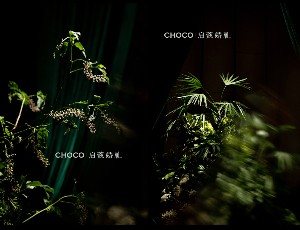 圖層 7-min.png
