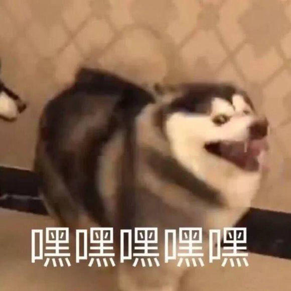 一打婚紗照配文