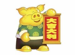 屬豬本命年能不能結(jié)婚