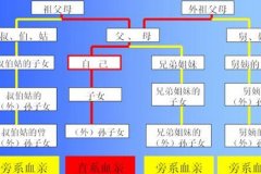 ?近親結(jié)婚犯法嗎？