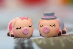 2019本命年可以結(jié)婚嗎 有什么說法
