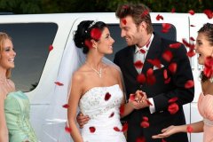 朋友的兒子結婚祝福語簡短