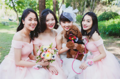 姐妹結婚祝福語精選15條