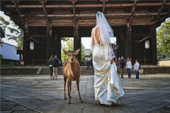 結(jié)婚祝福語(yǔ)4個(gè)字成語(yǔ)祝詞