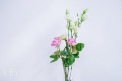 桔梗花的花語是什么，結婚用合適嗎