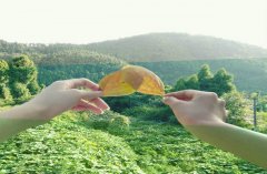 送給老公的生日祝福語