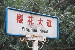 結婚去哪里度蜜月好 國內蜜月旅行城市排行榜