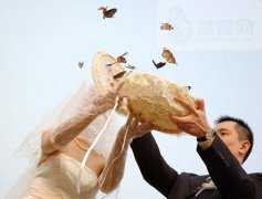 蝴系情婚禮策劃案