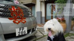 80后新人開始流行的另類結婚單品