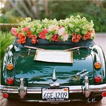 結婚車隊有哪些注意事項  一般是幾輛車