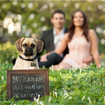 最新婚禮策劃創意 給婚禮注入生命力