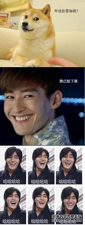搞笑GIF分享~反正你們也不會關注我們婚聚網,我就隨便吐槽下