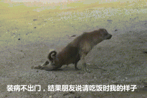 6289512360.gif