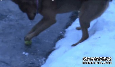 4340920139.gif