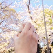 去愛爾蘭結婚