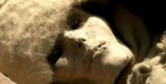 千年古尸  讓科技說(shuō)話
