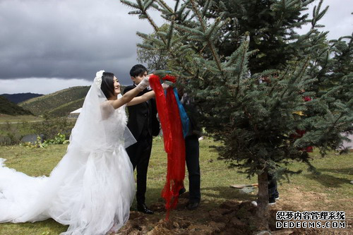 謝娜的婚紗  太陽女神的奢華婚紗.png