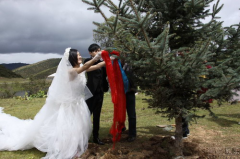 謝娜的婚紗  太陽女神的奢華婚紗
