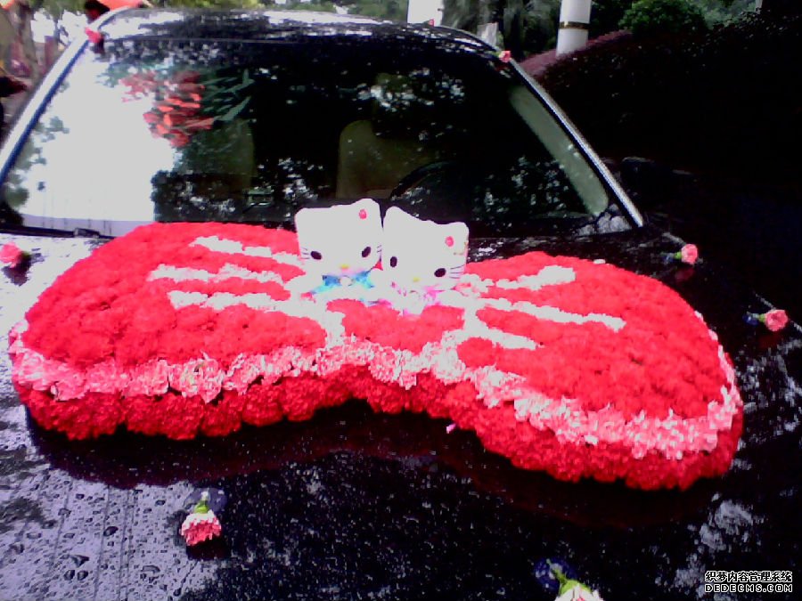 婚車裝飾 婚車裝飾樣圖展示2.png