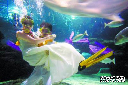 海底婚禮 浪漫刺激的海底世界1.png