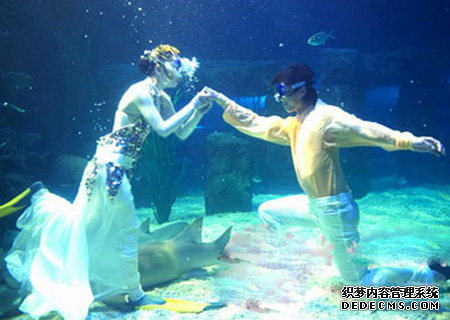 海底婚禮 浪漫刺激的海底世界.png