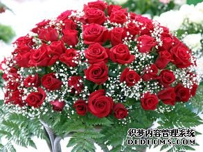 94cad1c8a786c917b7e28843cd3d70cf3ac757e3.jpg