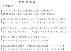 結(jié)婚典禮歌曲   適合結(jié)婚典禮的歌曲推薦