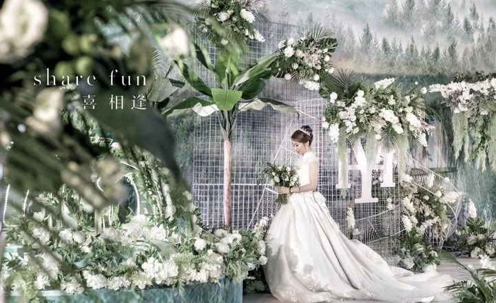 又見白綠，依然心花怒放。