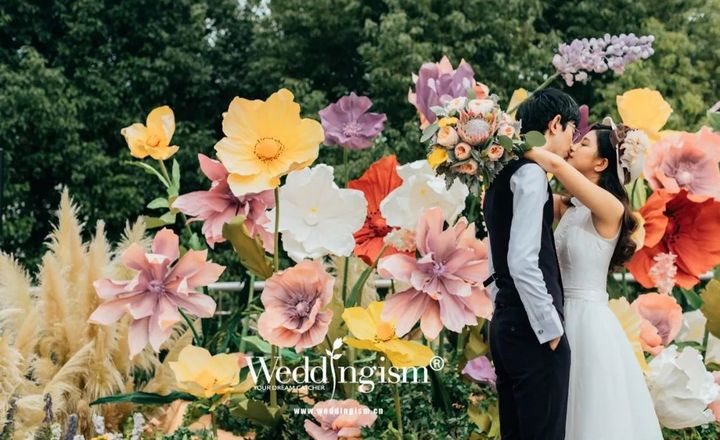 真實(shí)婚禮: 宮崎駿式的愛情，幸福有時(shí)候比我們想
