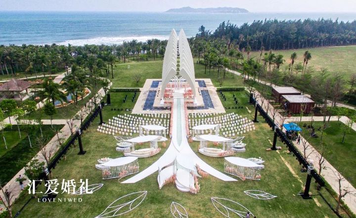 靈感: 一棵樹的旅行